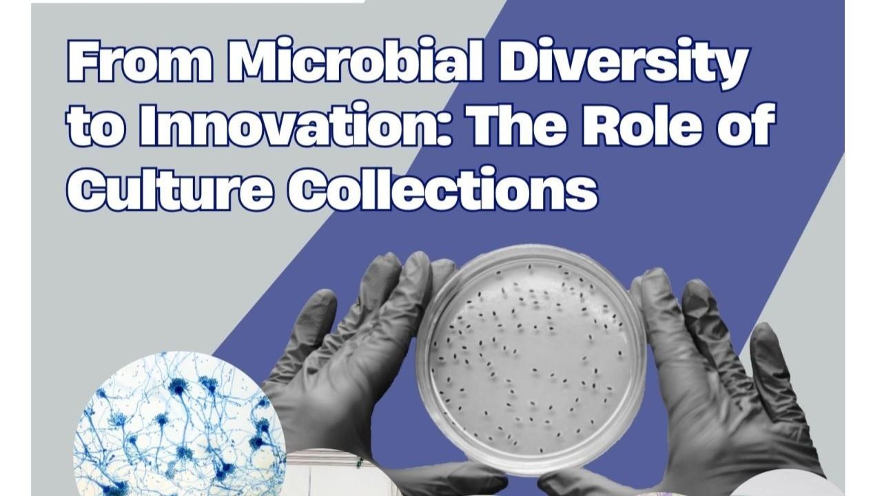 CECT e IATA | From Microbial Diversity to Innovation: The Role of Culture Collections