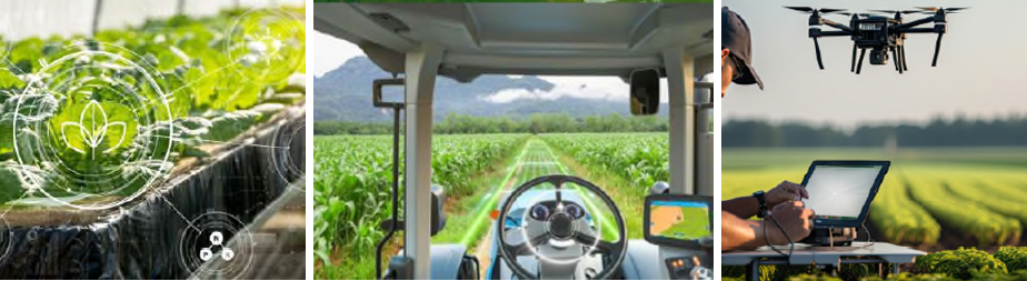 Webinario ¿Cómo impacta la digitalización en el control de plagas y enfermedades en los cultivos bajo invernadero? | Observatorio de la digitalización del sector agroalimentario
