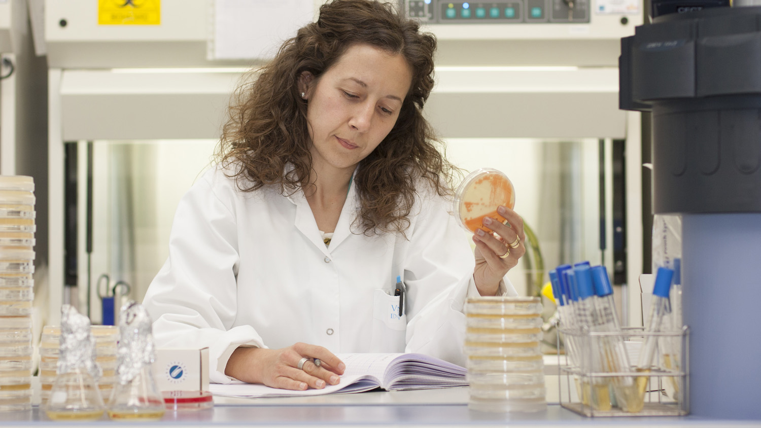 Conservación y gestión de recursos microbianos 