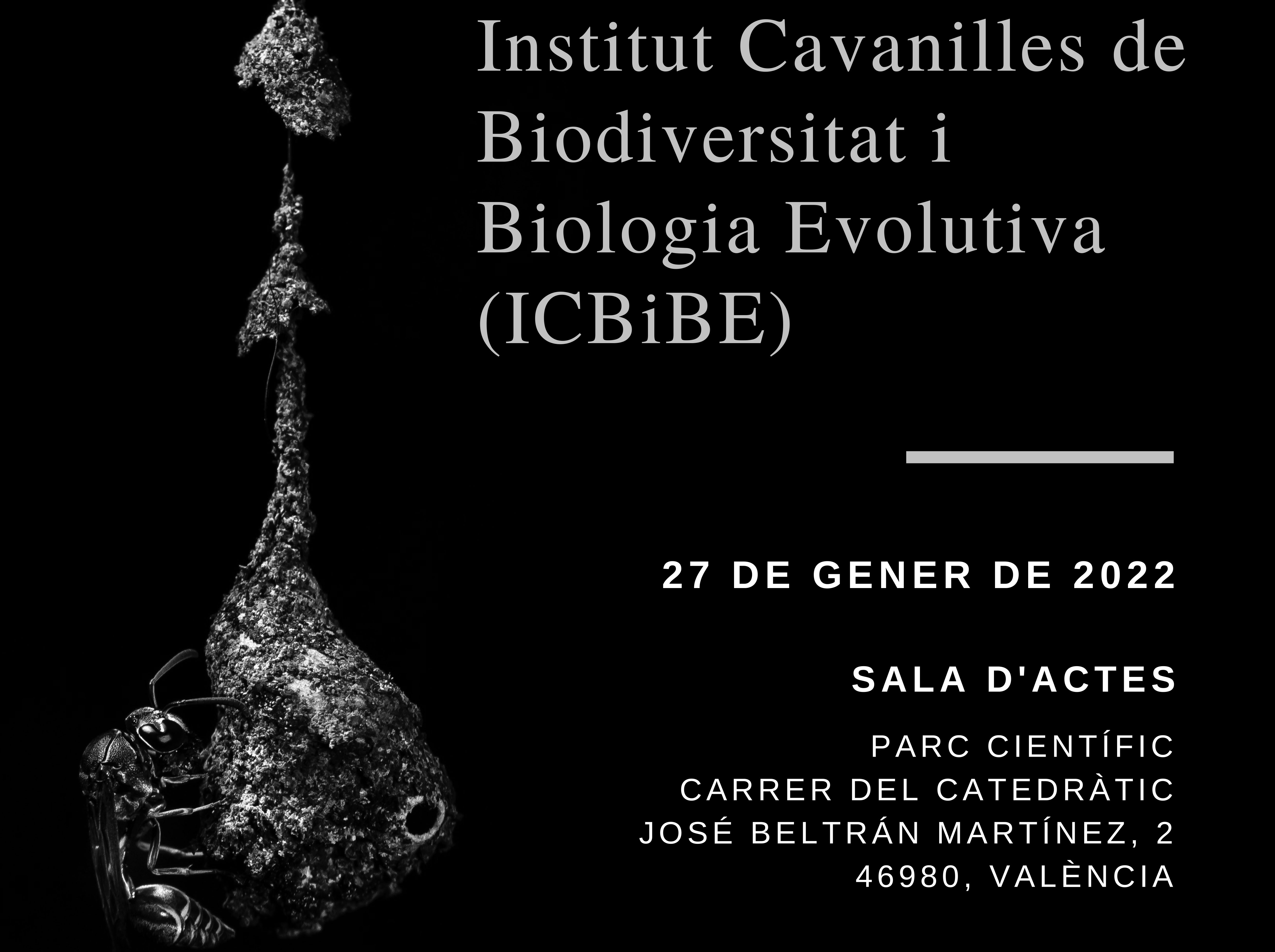 VI Jornada Científica del ICBiBE