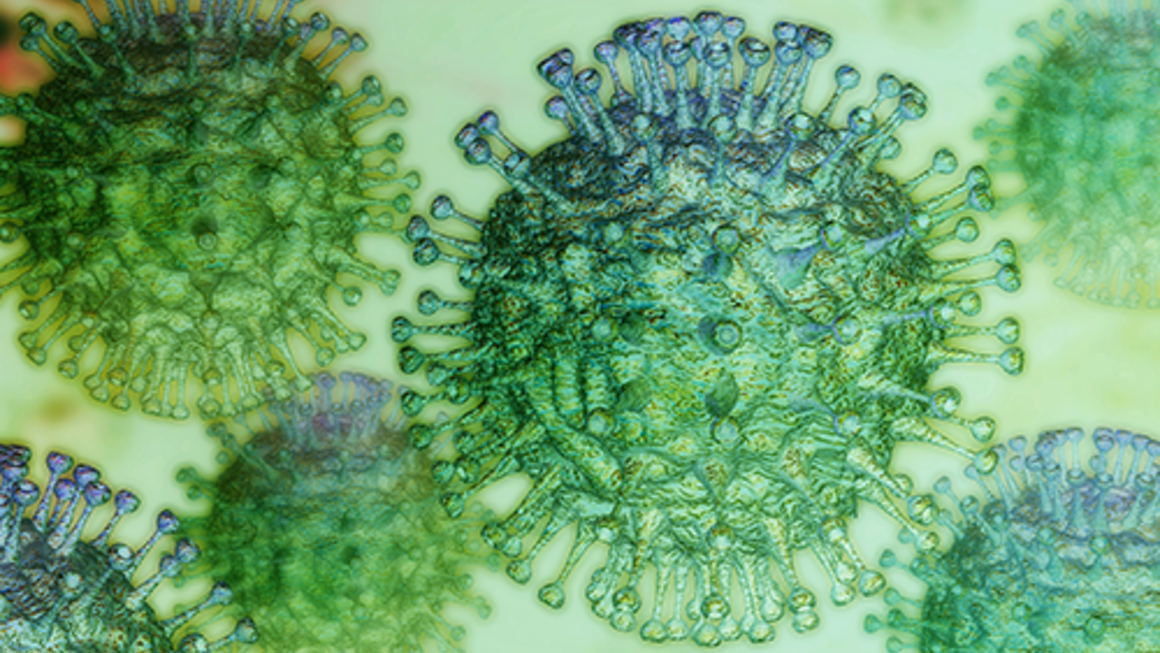 Mesa redonda sobre el brote del coronavirus SARS-CoV-2 