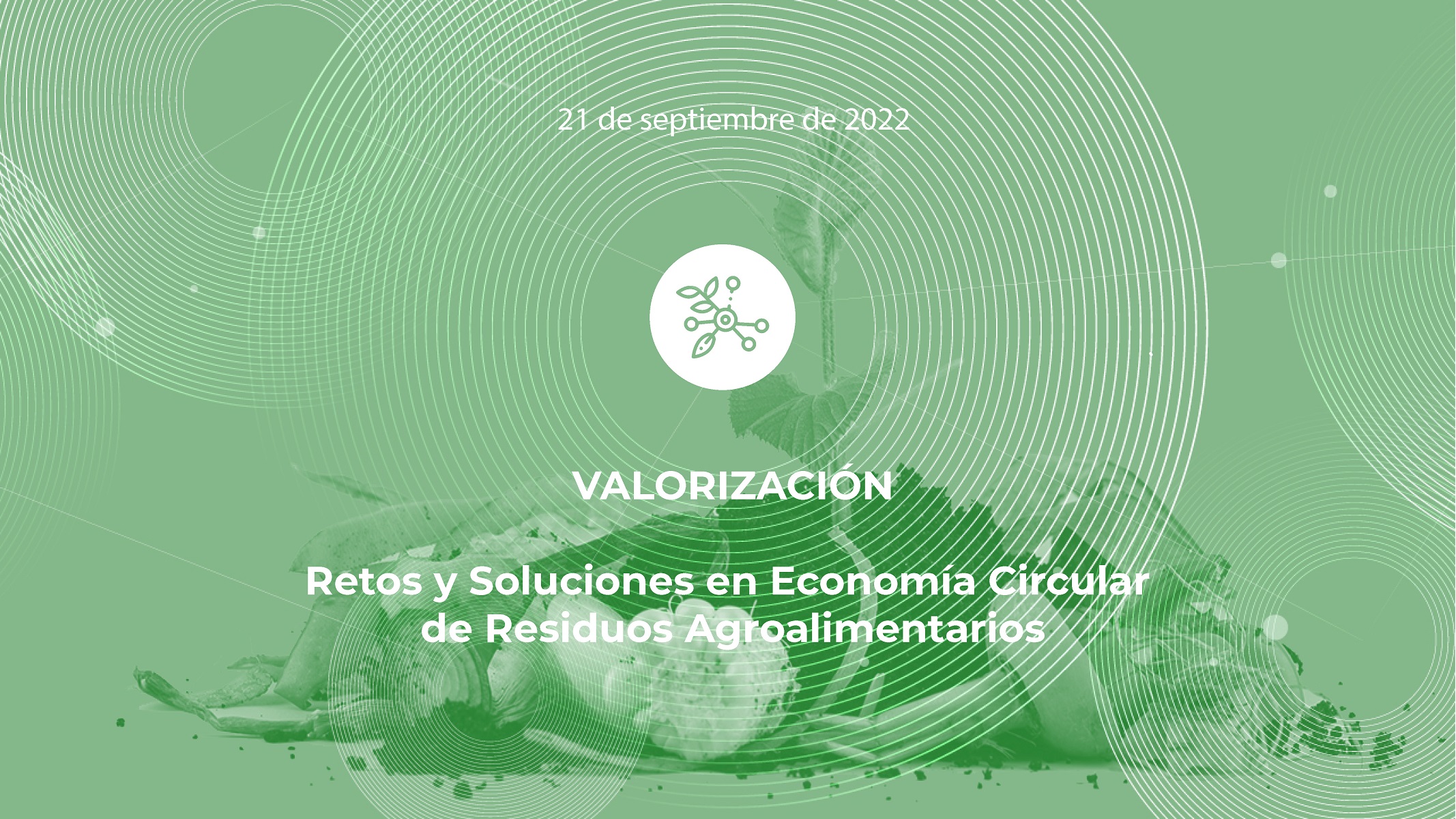 Innotransfer | Economía Circular: Retos y Soluciones de la Valorización de Residuos Agroalimentarios