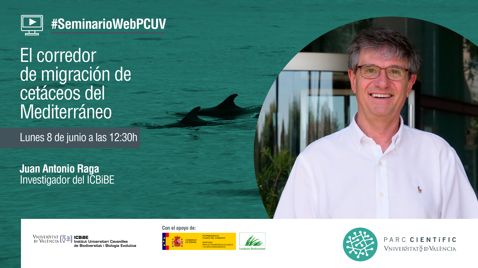 Seminario Web - El corredor de migración de cetáceos del Mediterráneo