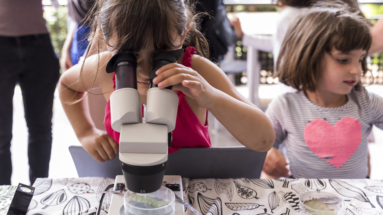 Expociencia