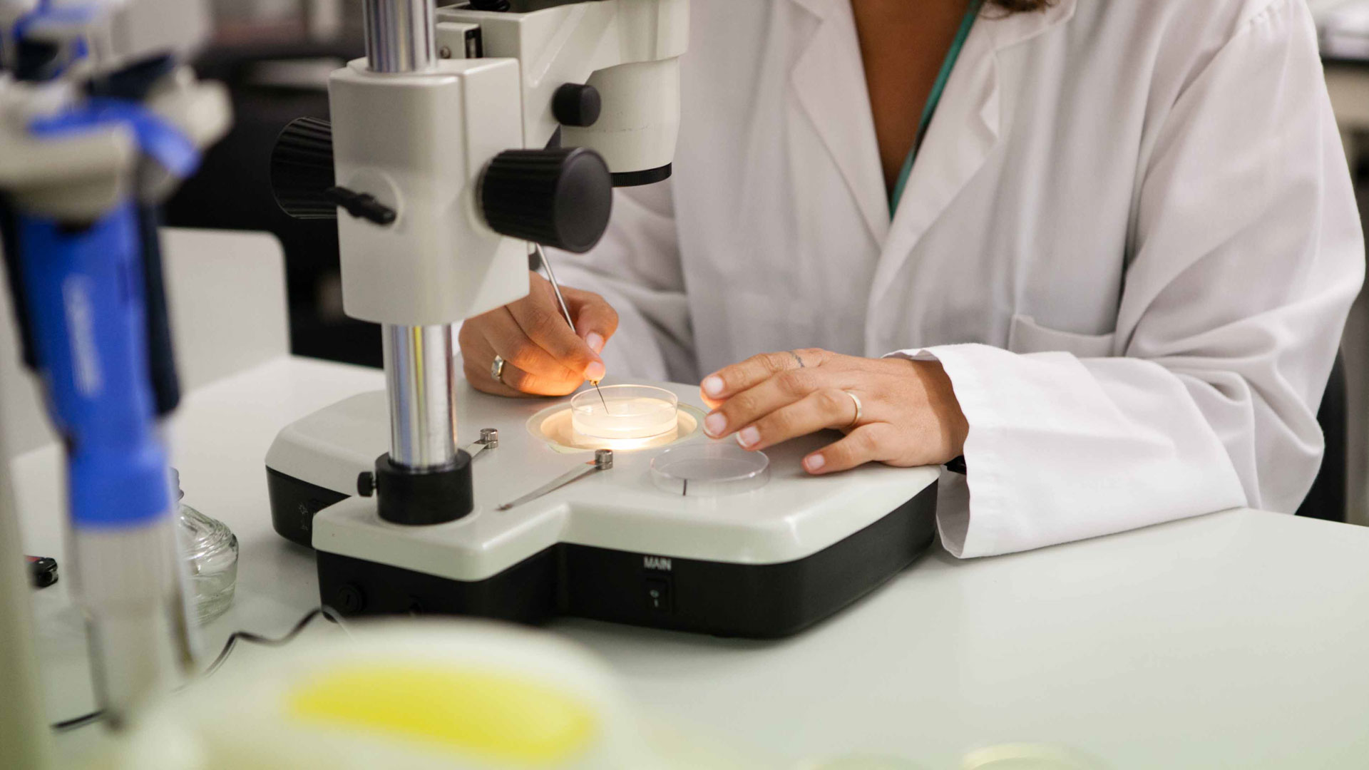 Industry and Nanotecnology