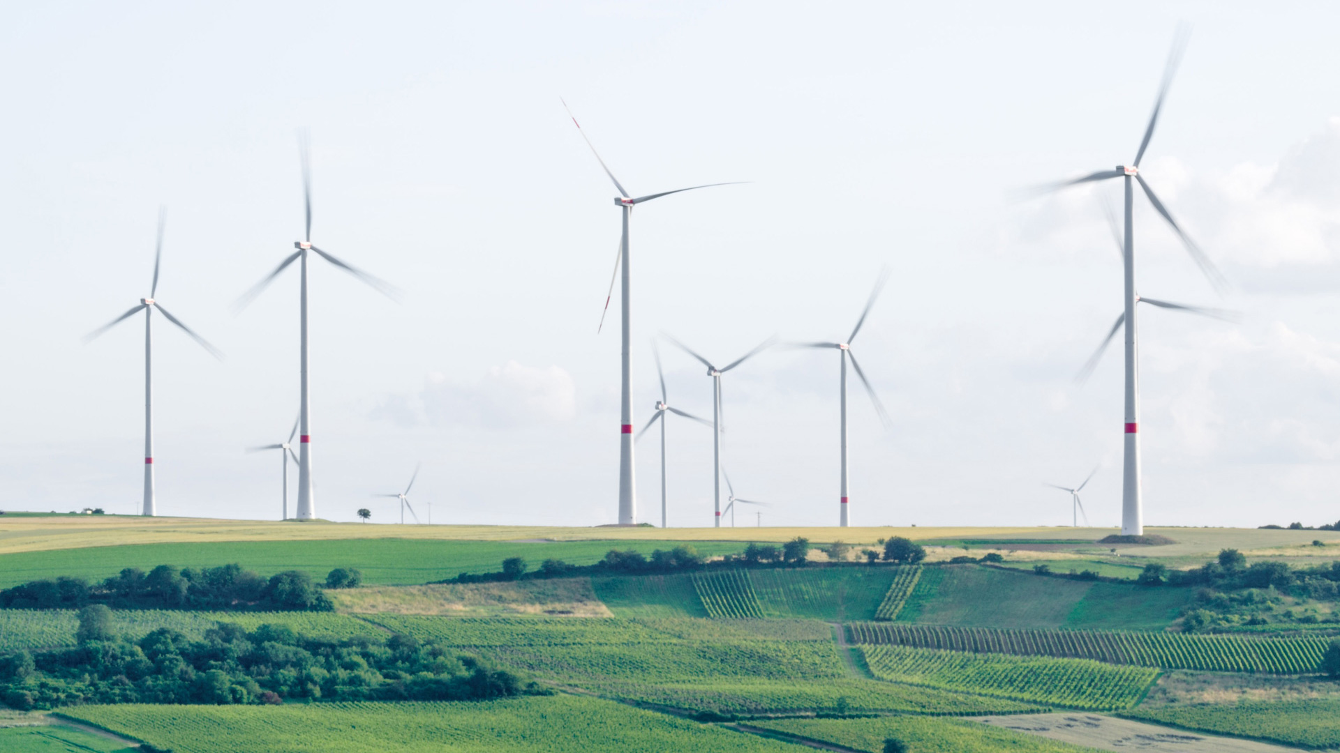 Energy and the Environment