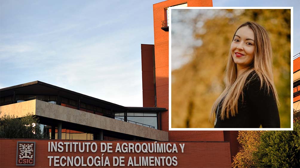 Seminarios-IATA | 