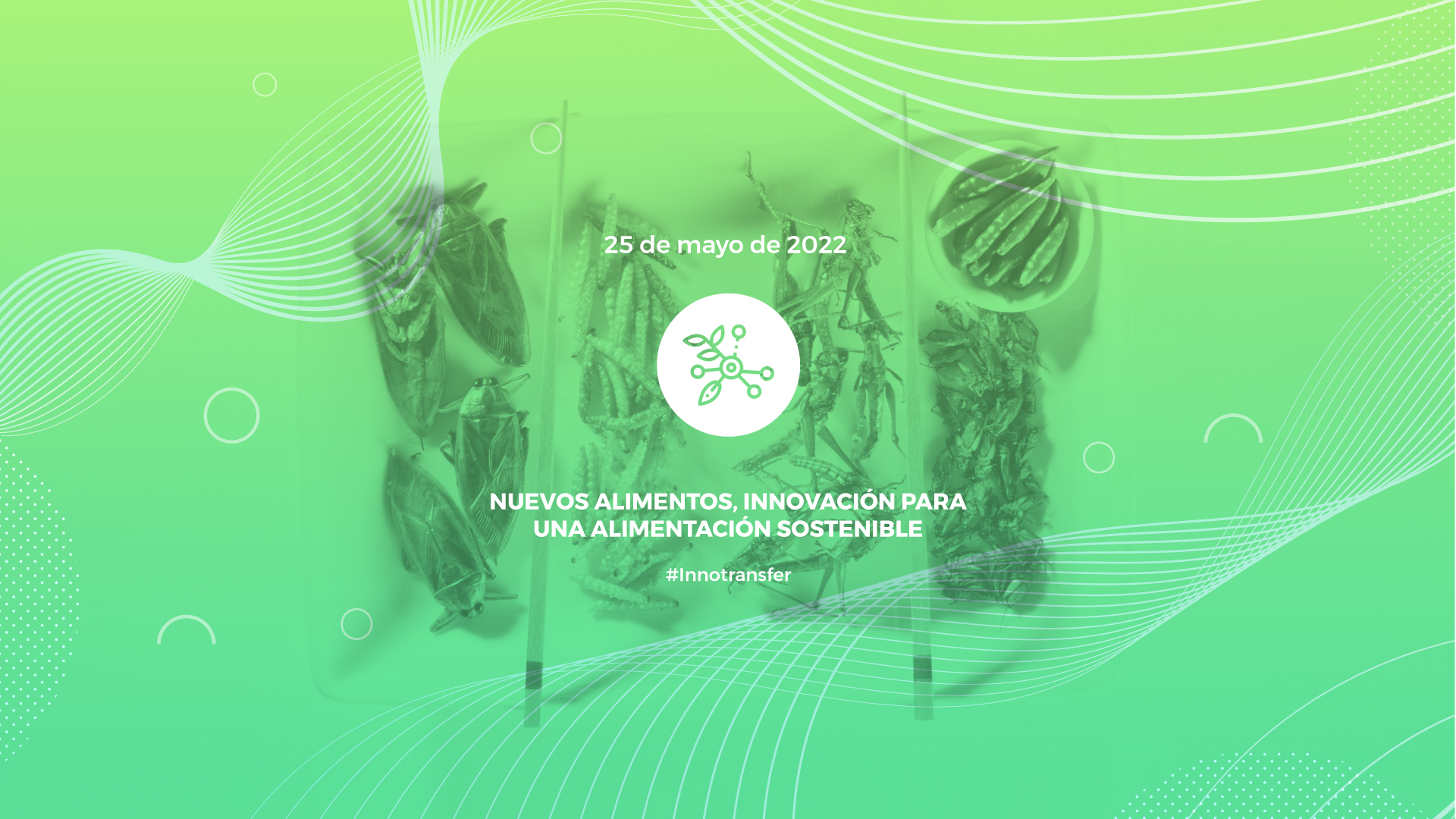 Innotransfer 2022 PCUV | Nuevos alimentos, ¿aliados para la alimentación sostenible?